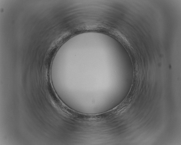 X0000073760542200608031113