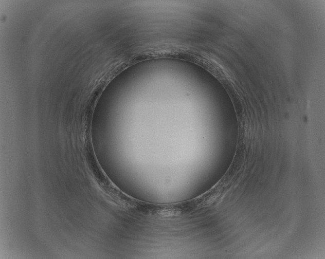X0000073760546200608031113