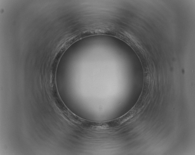 X0000073760548200608031113