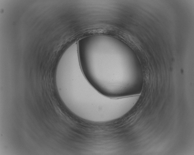 X0000073760551200608031113