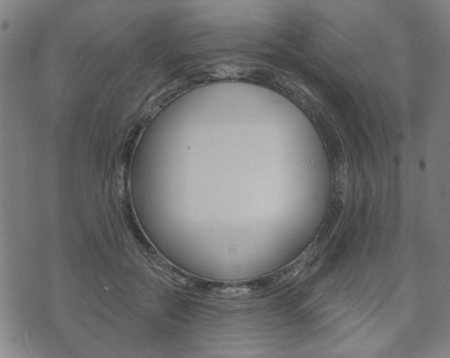 X0000073760554200608031113