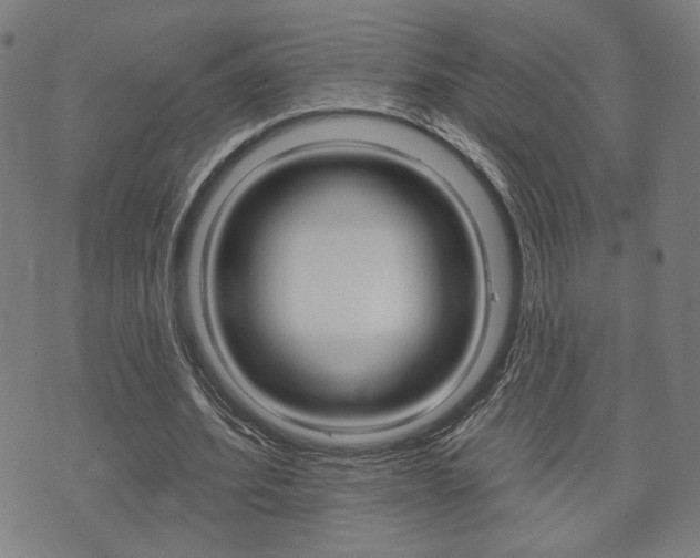 X0000073760580200608031112
