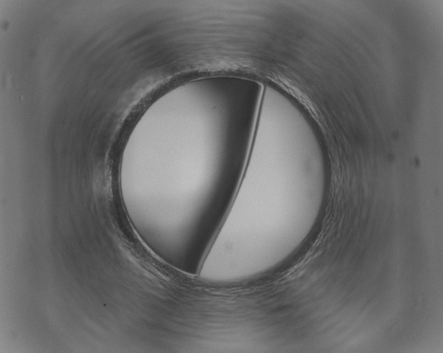 X0000073760584200608031112