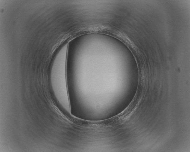 X0000073760585200608031112
