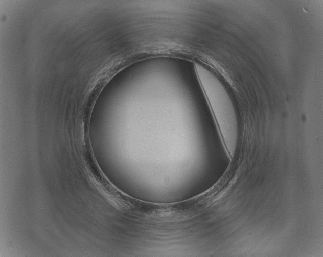 X0000073760589200608031112