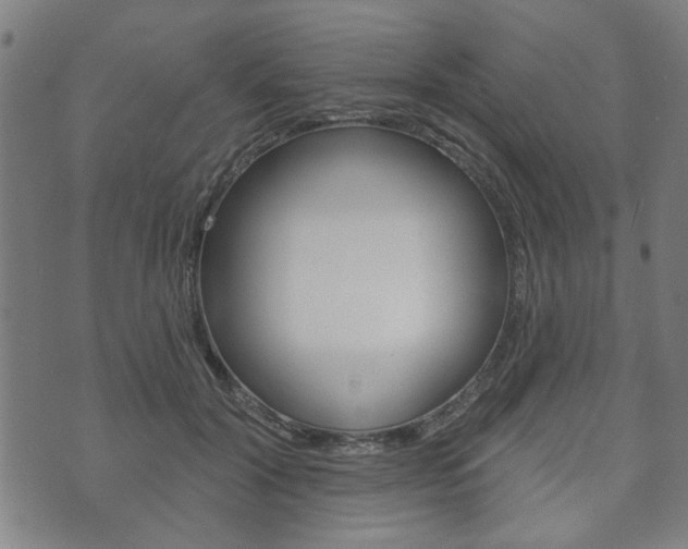 X0000073760604200608031112