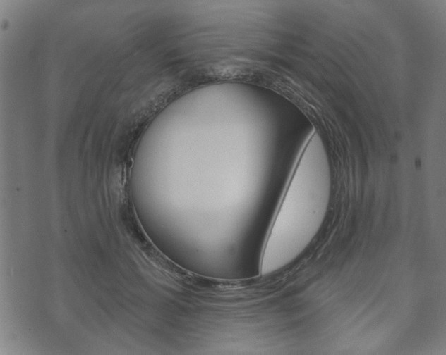 X0000073760605200608031112