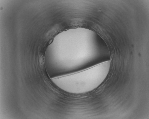 X0000073760623200608031112