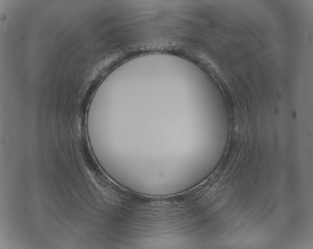 X0000073760636200608031111