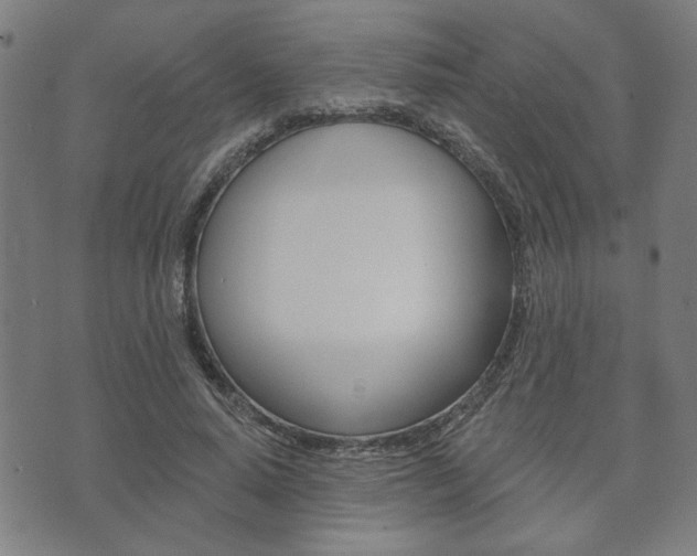 X0000073760640200608031111