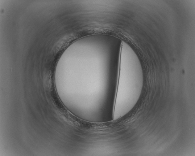 X0000073760642200608031111