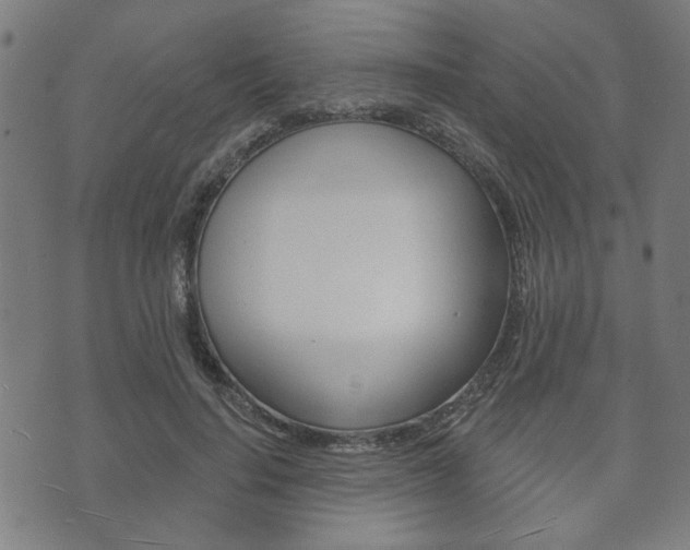 X0000073760644200608031111