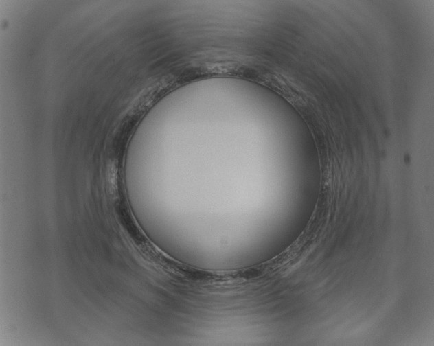 X0000073760646200608031111