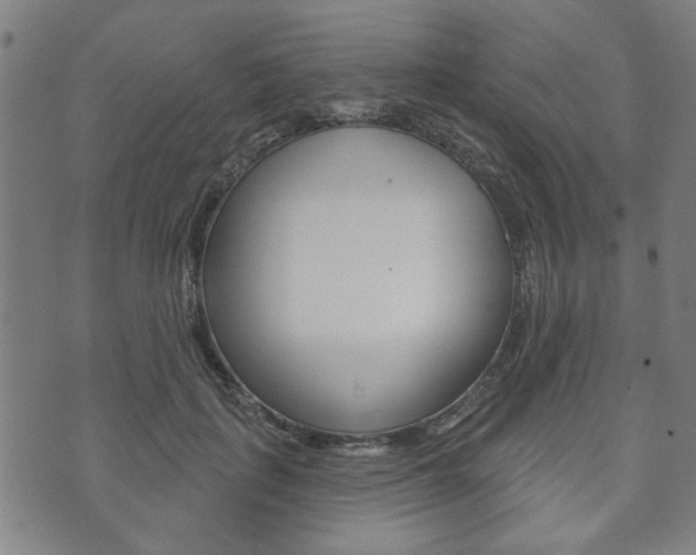 X0000073760651200608031111