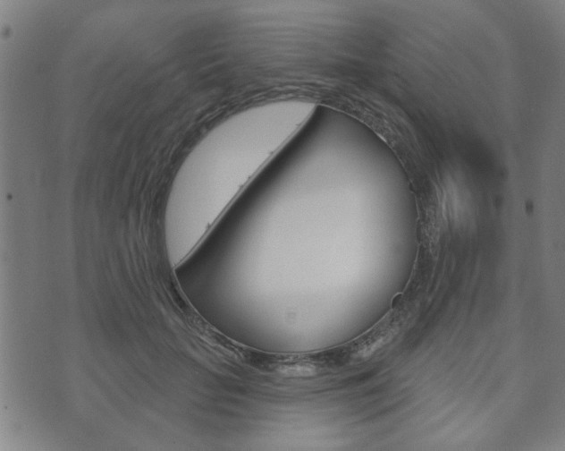 X0000073760653200608031111
