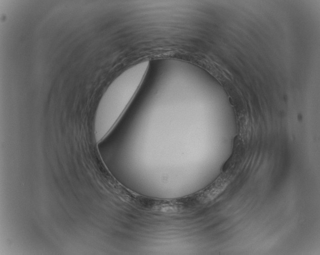 X0000073760655200608031111