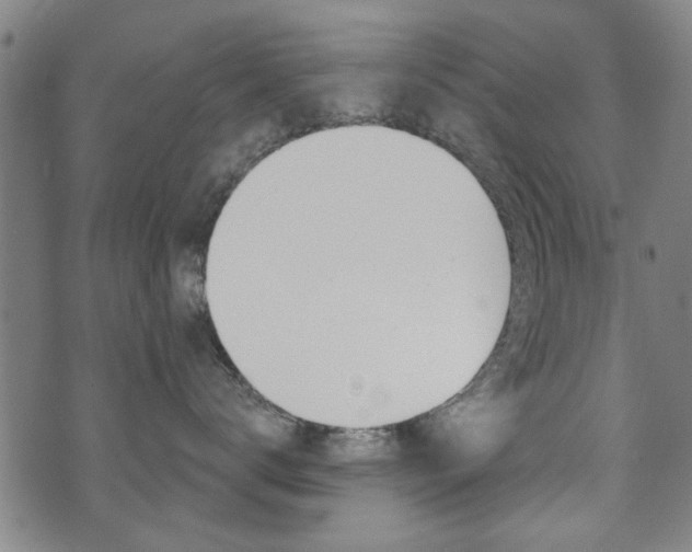 X0000073760672200608031112