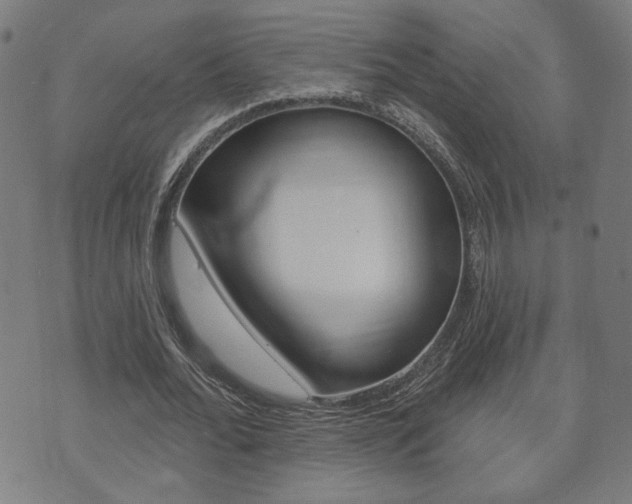 X0000073760676200608031111