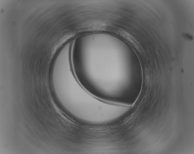 X0000073760677200608031111