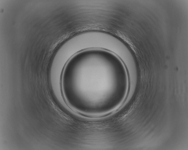 X0000073760681200608031111