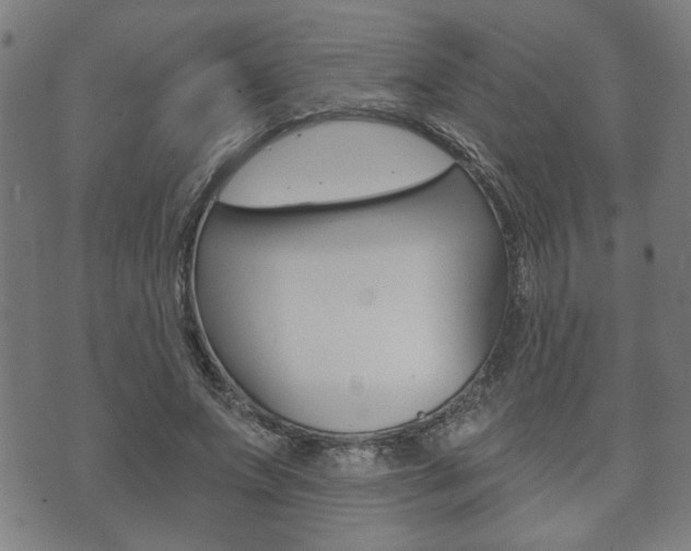 X0000073760687200608031111
