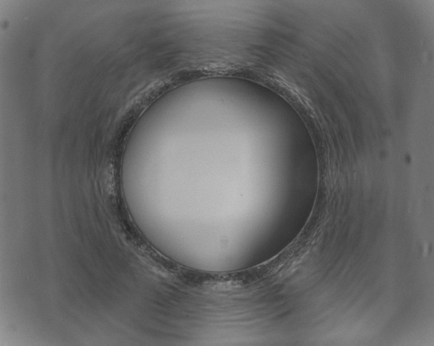 X0000073760689200608031111