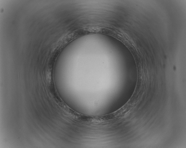 X0000073760697200608031110