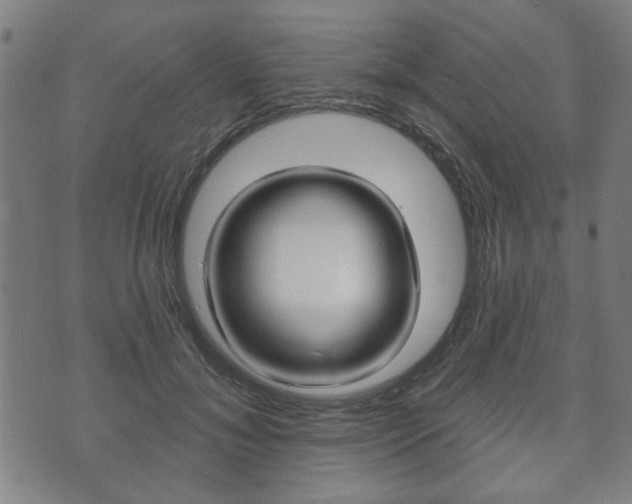 X0000073760700200608031110