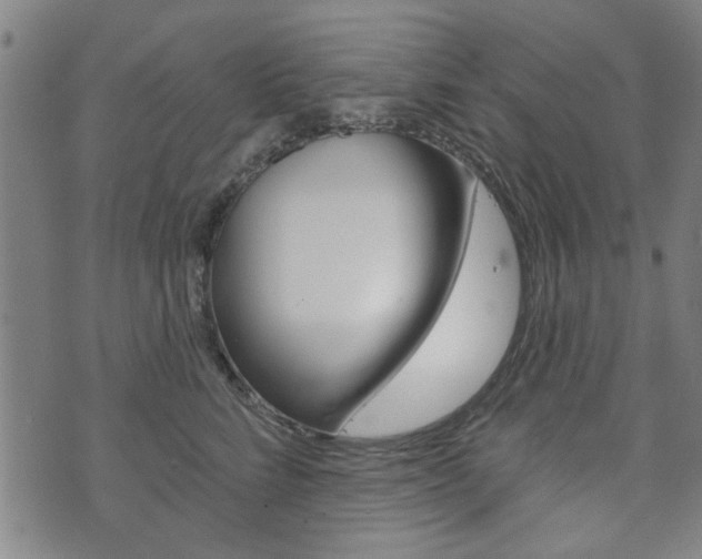 X0000073760712200608031110