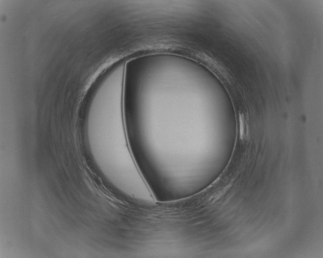 X0000073760723200608031109