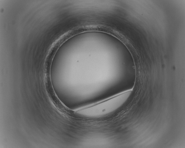 X0000073760728200608031109