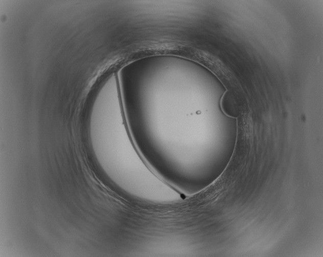 X0000073760731200608031109