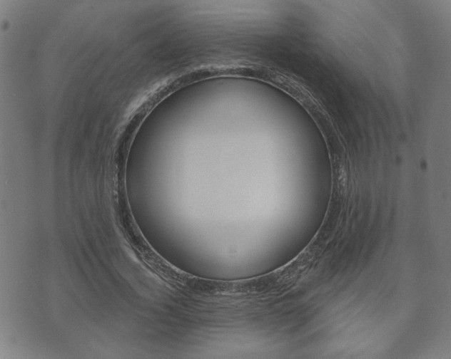 X0000073760732200608031109