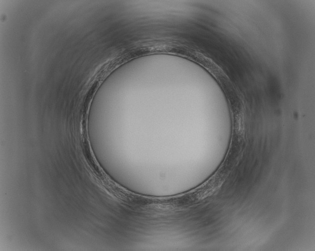 X0000073760733200608031109