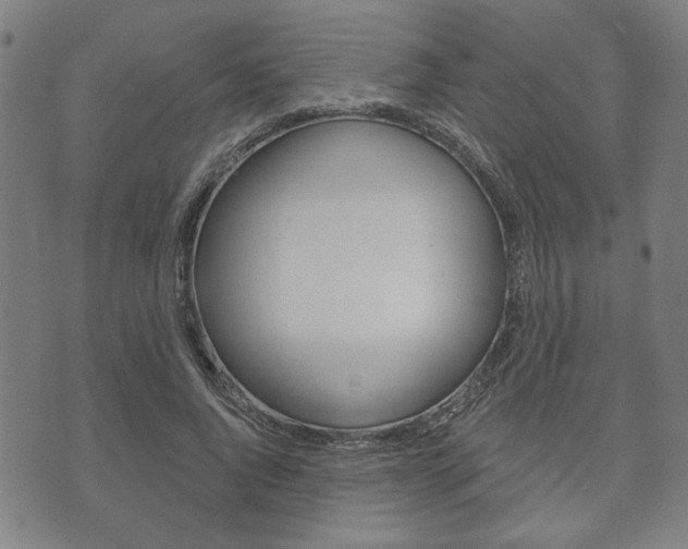 X0000073760736200608031110