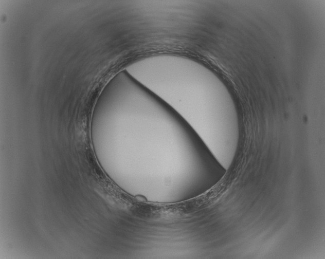X0000073760737200608031110