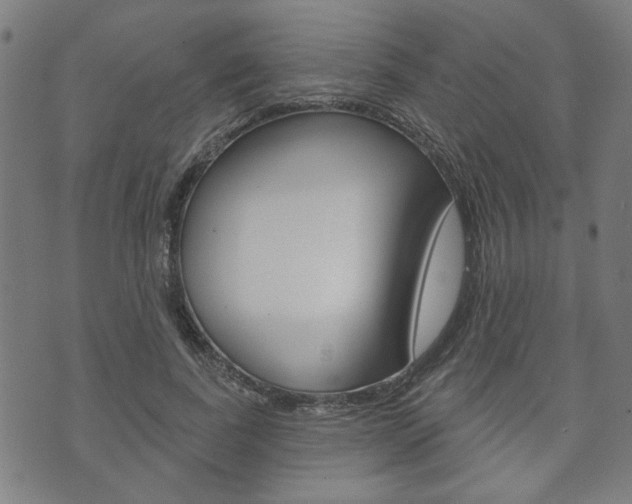 X0000073760739200608031110