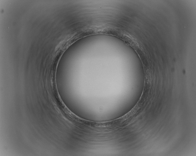 X0000073760740200608031110
