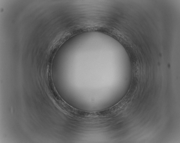 X0000073760742200608031110
