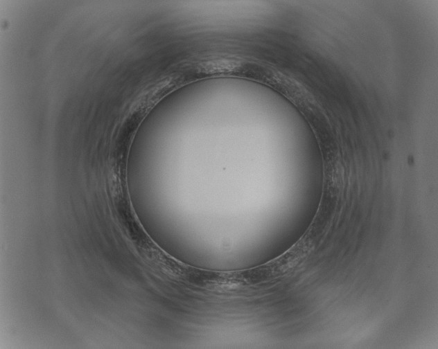 X0000073760743200608031110