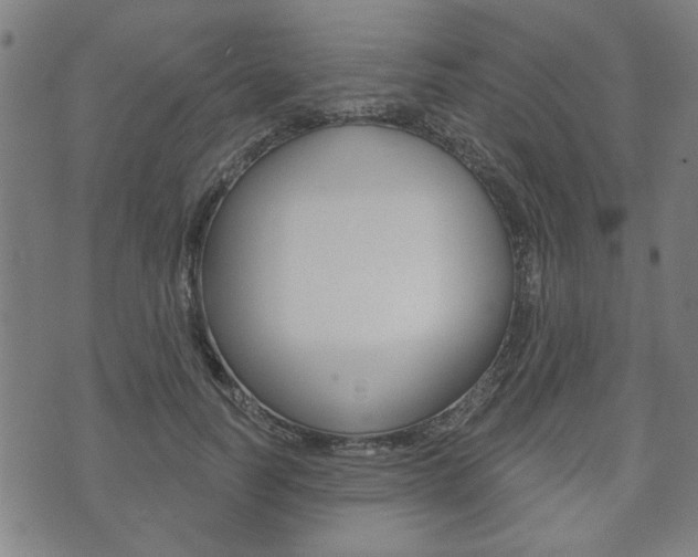 X0000073760746200608031110