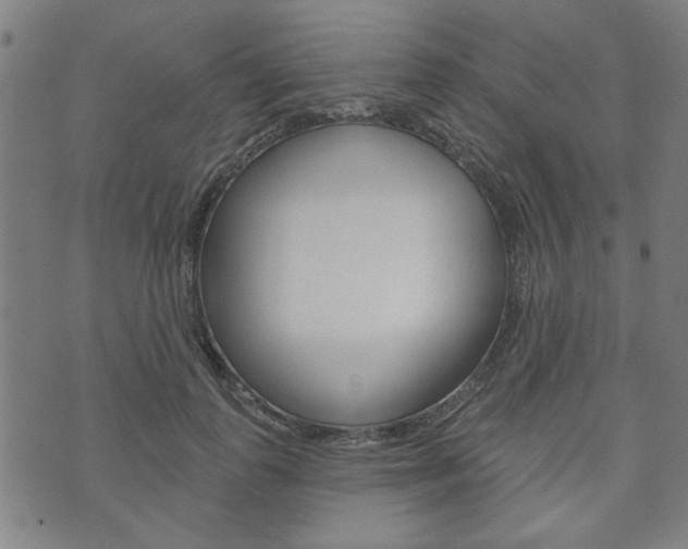 X0000073760747200608031110