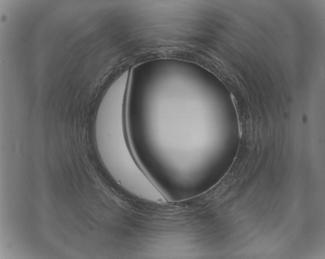 X0000073760750200608031110