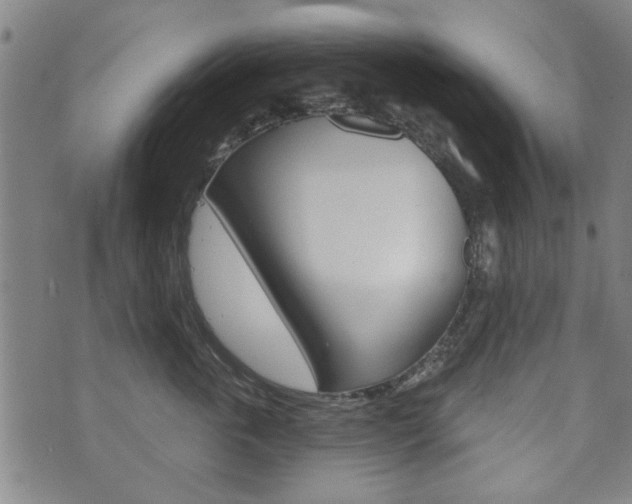 X0000073760763200608031110