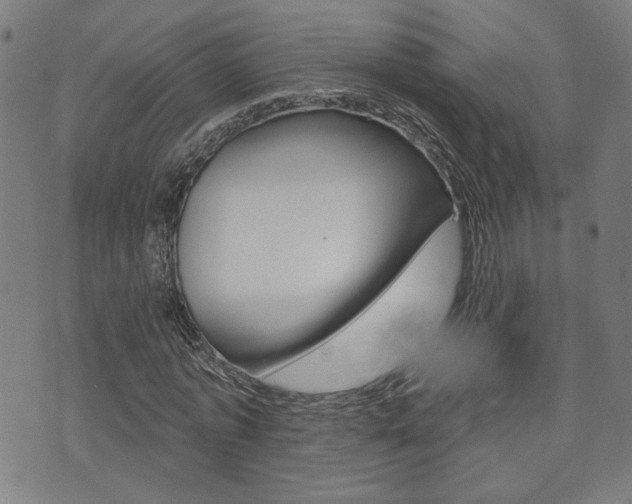 X0000073760773200608031109