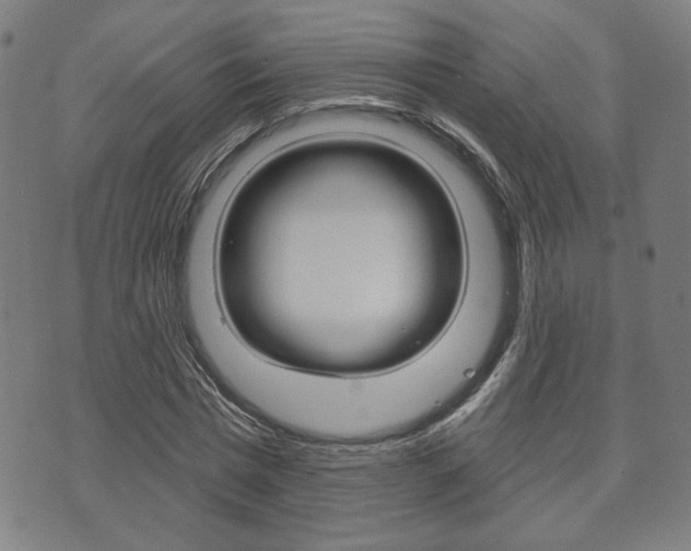 X0000073760777200608031109