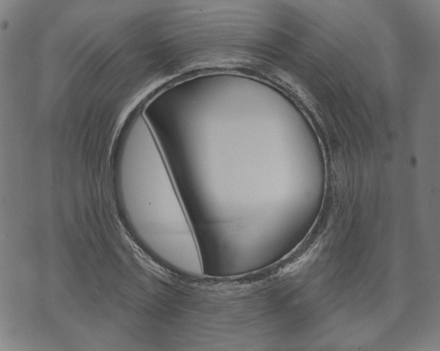 X0000073760779200608031109