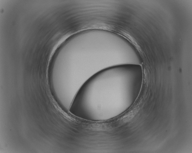 X0000073760780200608031109