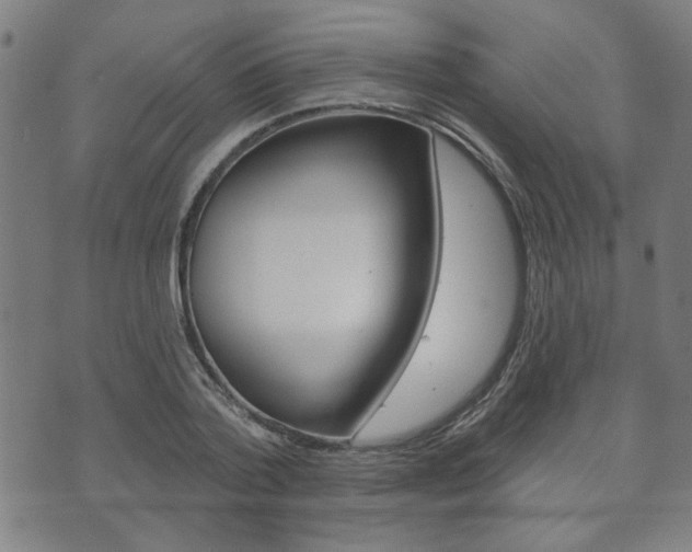 X0000073760788200608031109