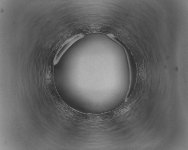X0000073760818200608031108